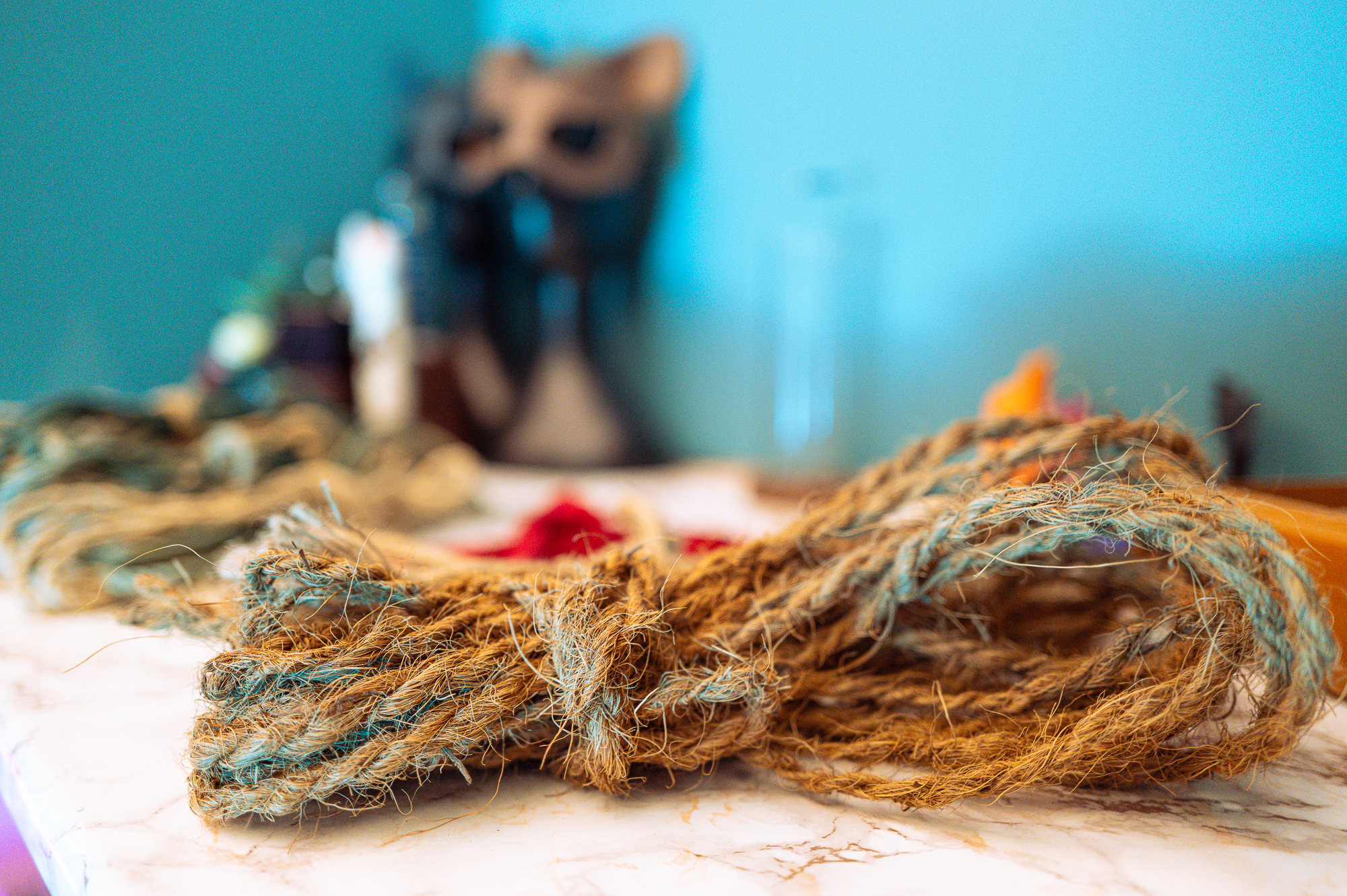 Rope textures and soft seating at The Nest.
